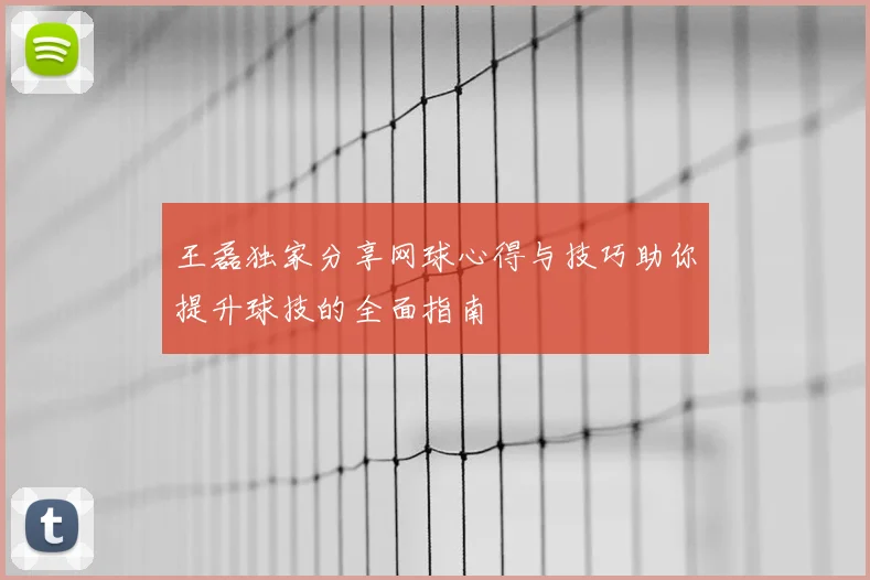 王磊独家分享网球心得与技巧助你提升球技的全面指南