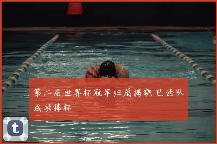 第二届世界杯冠军归属揭晓 巴西队成功捧杯