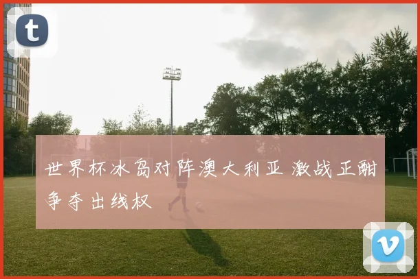 世界杯冰岛对阵澳大利亚 激战正酣争夺出线权