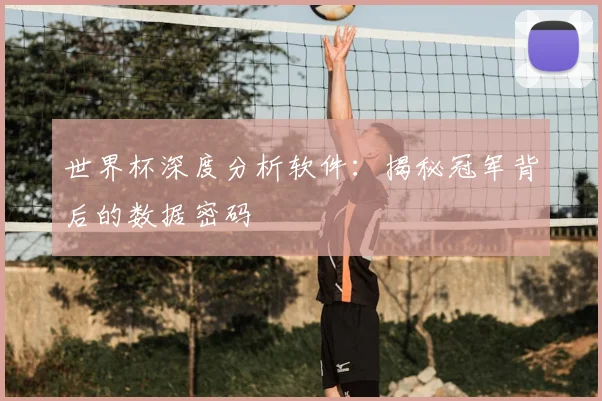 世界杯深度分析软件：揭秘冠军背后的数据密码