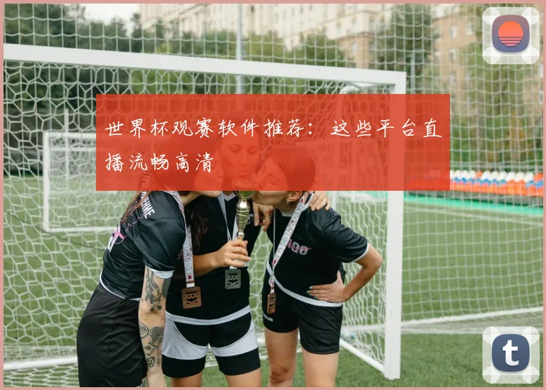 世界杯观赛软件推荐：这些平台直播流畅高清