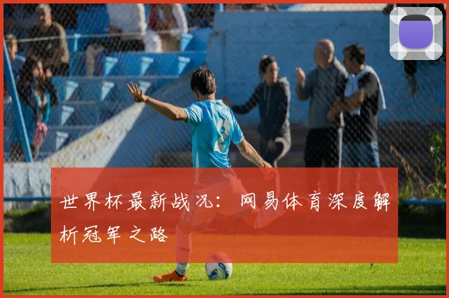 世界杯最新战况：网易体育深度解析冠军之路