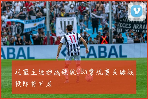 辽篮主场迎战强敌CBA常规赛关键战役即将开启