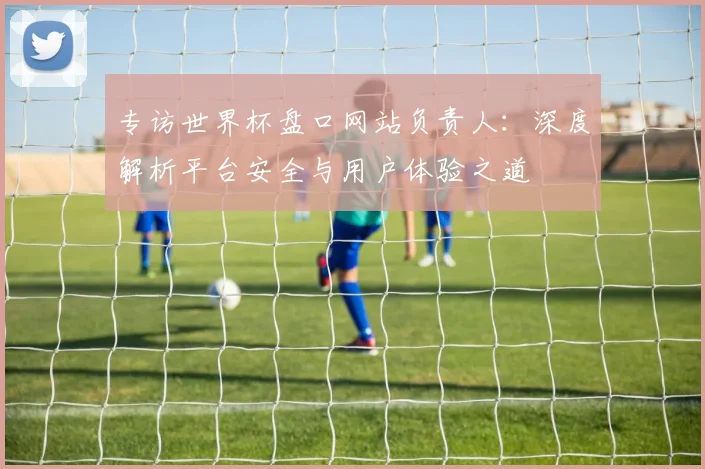 专访世界杯盘口网站负责人：深度解析平台安全与用户体验之道