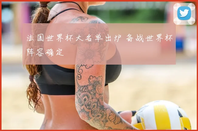 法国世界杯大名单出炉 备战世界杯阵容确定