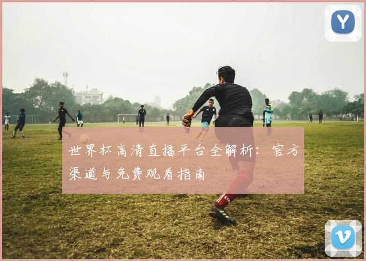 世界杯高清直播平台全解析：官方渠道与免费观看指南